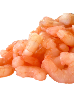 Cooked _ Peeled Shrimp
